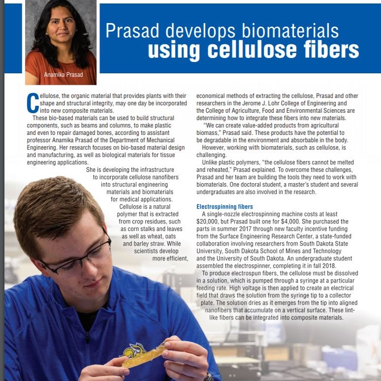 Prasad develops biomaterials using cellulose fibers article